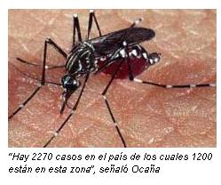 Más provincias en alerta por la epidemia del dengue