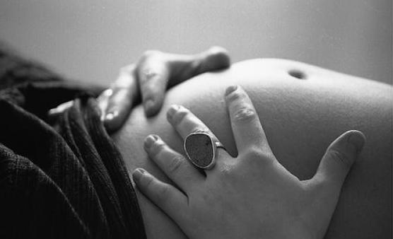 Polémica por las niñas embarazadas: Manzur vs. Dindart