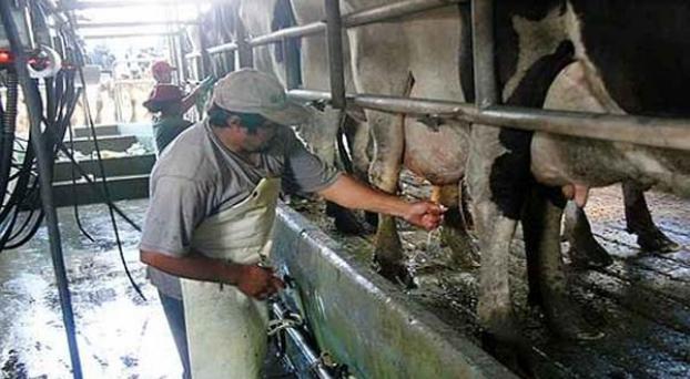 Protestas de Tamberos: Repartirán leche en Córdoba y Santa Fe