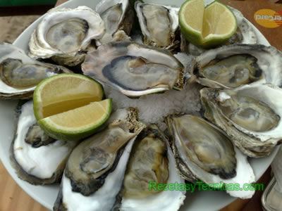 Alerta sanitaria en Los Pocitos para consumo, extracción y comercialización de ostras